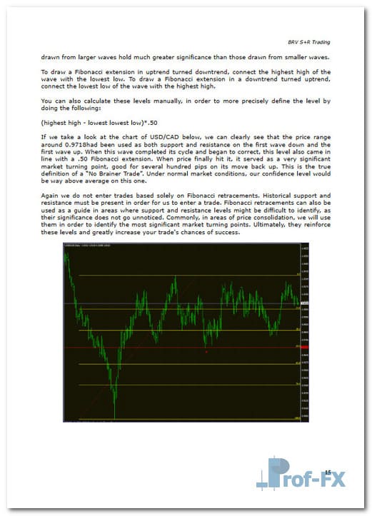 BRV Trading System Rules.pdf