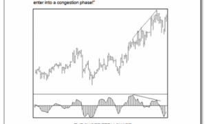 Divergence Decisions.pdf