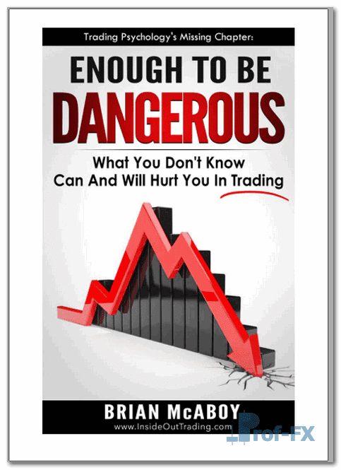 Enough to Be Dangerous forex.pdf