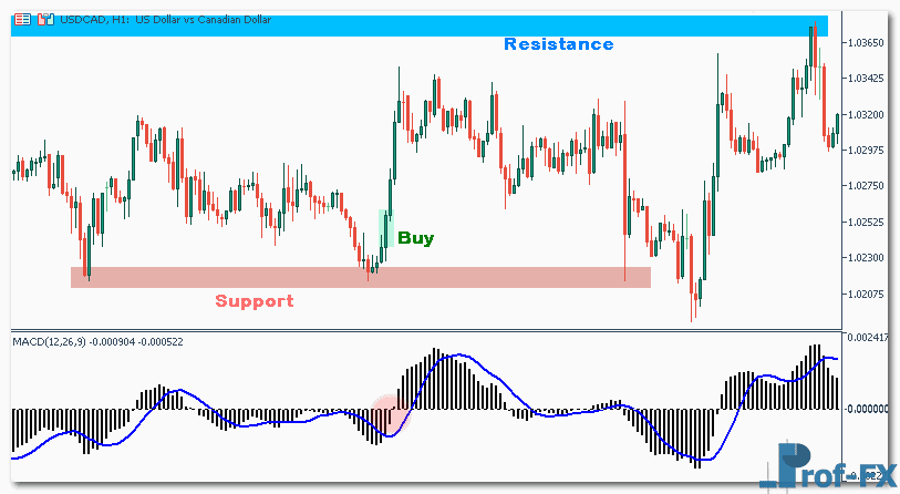 How To Trade with MACD