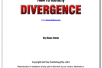 Identify Divergence Report.pdf