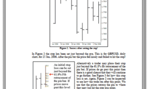 Pin Bars Advanced.pdf