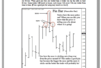 Pin Bars Introduction.pdf