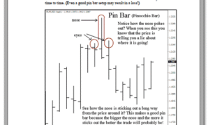 Pin Bars Introduction.pdf