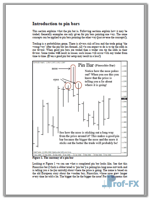 Pin Bars Introduction.pdf