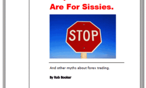 Stop Losses Are For Sissies.pdf