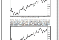 The Cycle Trading Pattern Manual.pdf
